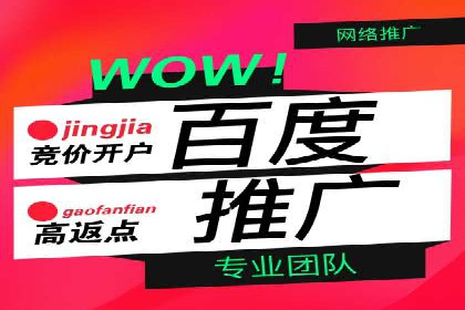 百度竞价推广公司成功案例揭秘：广告投放的五大误区与对策